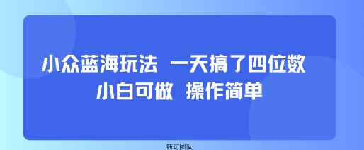 小众蓝海玩法 一天搞了四位数 小白可做 操作简单-清风网创资源站