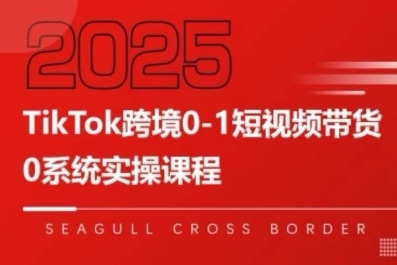 TikTok跨境0-1短视频带货，系统拆解TikTok跨境带货全链路，实现跨境可持续盈利-清风网创资源站