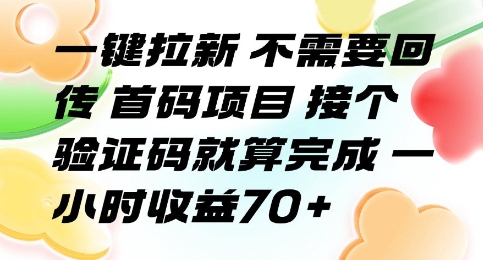 一键拉新 不需要回传 首码项目 接个验证码就算完成 一小时收益70+【揭秘】-清风网创资源站