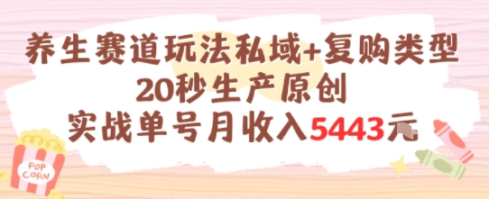 养生赛道玩法私域+复购类型，20秒生产原创实战单号月收入5k+-清风网创资源站