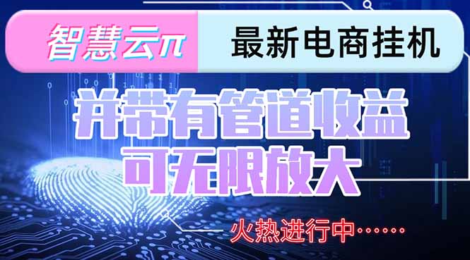 智慧云π电脑挂机单机每天收益300—500+ 并带有团队管道收益 可无限放大-清风网创资源站