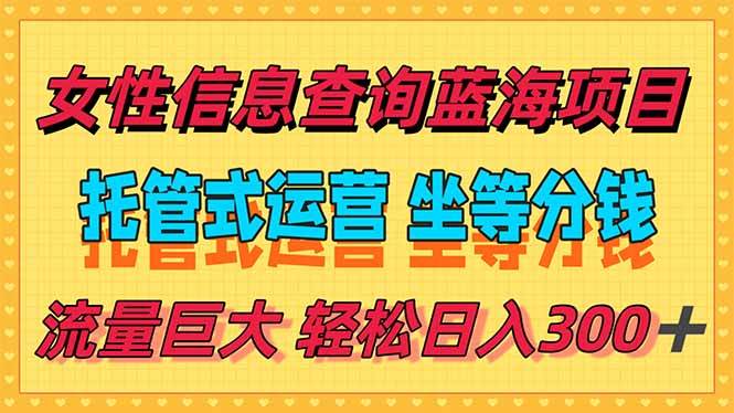 （15216期）稳定日入300＋，小众信息查询蓝海项目，全程懒人式托管，解放你的时间-清风网创资源站