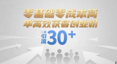 零基础零成本简单高效获客创业粉，一天引流30+-清风网创资源站