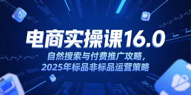 淘宝电商运营课16.0，自然搜索与付费推广攻略，2025年标品非标品运营策略-清风网创资源站