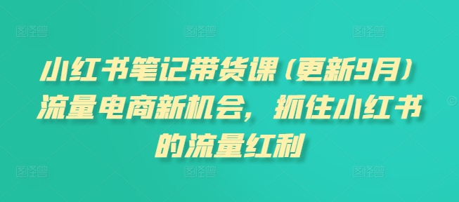 小红书笔记带货课(更新25年6月)流量电商新机会，抓住小红书的流量红利-清风网创资源站