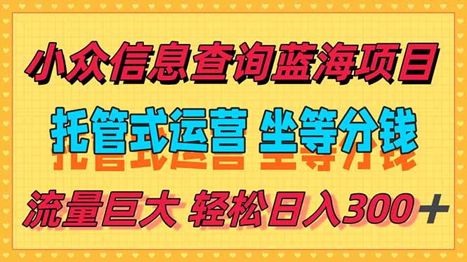稳定日入300＋，小众信息查询蓝海项目，全程懒人式托管，解放你的时间-清风网创资源站