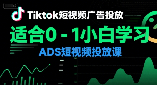 Tiktok短视频广告投放，适合0-1小白学习ADS短视频投放课-清风网创资源站