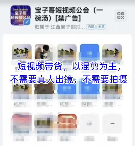 宝子哥头部团队短视频带货，以混剪为主，不需要真人出镜，不需要拍摄【更新6月】-清风网创资源站