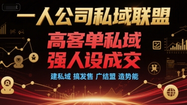 一人公司私域联盟，高客单私域，强人设成交，建私域 搞发售 广结盟 造势能-清风网创资源站